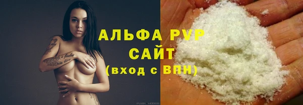 прущие грибы Бежецк