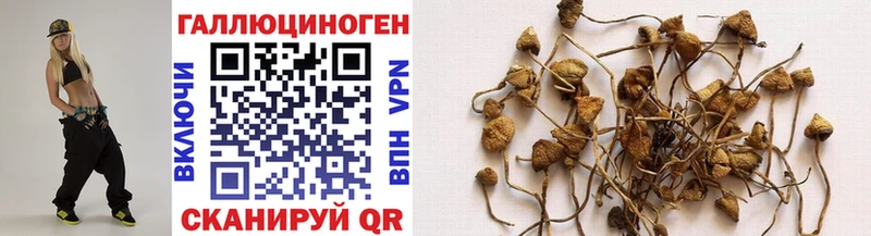 Галлюциногенные грибы Psilocybe Киренск